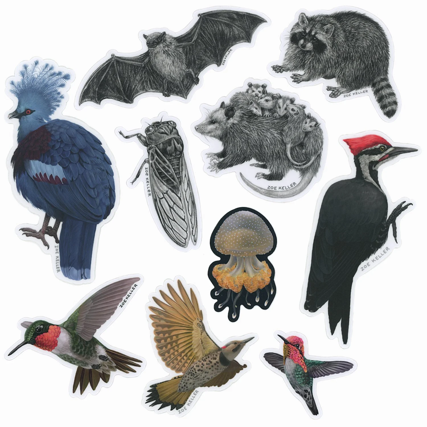 Store — Zoe Keller Nature Art